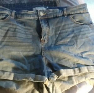 Torrid shorts